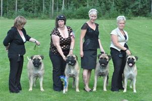 Finnish Speciality 2011 BIS2 Breeder